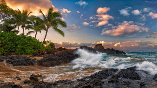 Beach waves rocks palm trees 2 - colorful free wallpaper