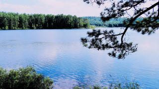 Hudson lake forest clouds bush - tree and a forest in the background free wallpaper