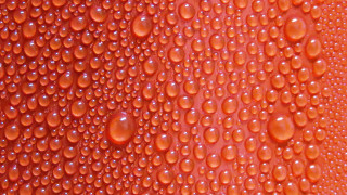 Red wall water drops macro - anish kapoor free wallpaper