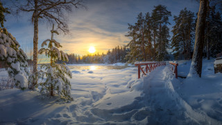 Snowy bridge lake trees dusk - the sun setting free wallpaper