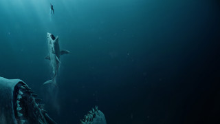 Shark man underwater night starry - a shark free wallpaper