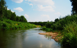 River forest blue sky nature - river free wallpaper for desktop
