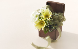 Bouquet wrapped brown box ribbon - a ribbon free wallpaper