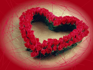 Heart roses red flower love - fathi hassan free wallpaper