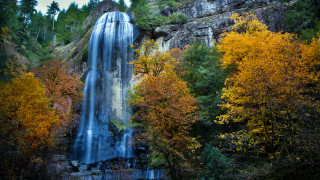 Waterfall autumn leaves forest nature - the fall season free wallpaper for desktop