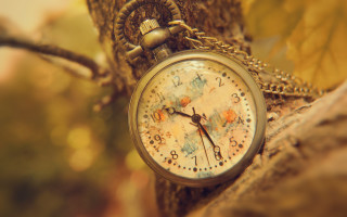 Pocketwatch tree fall magic roman - a pocket watch free wallpaper