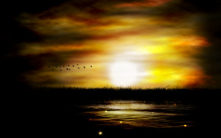 Sunset birds water ocean sky - sky free wallpaper