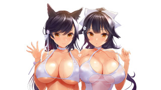 Anime girls cat ears bikinis - a cat tail free wallpaper