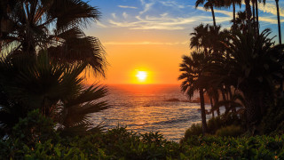 Sunset ocean palm trees boats - orange sky free wallpaper