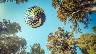 Hot air balloon forest blue - a hot air balloon free wallpaper for desktop