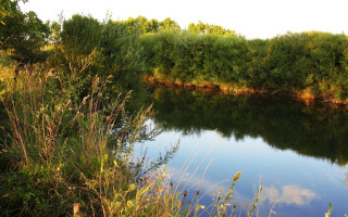 River forest autumn sky nature 2 - river free wallpaper for desktop