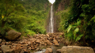 Waterfall jungle rocks trees stream - rock and trees free wallpaper