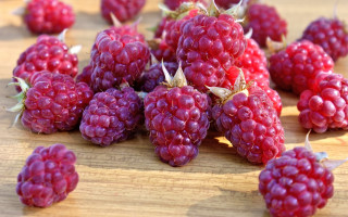 Raspberries wooden table leaves photorealism - a bunch of raspberries free wallpaper
