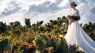 Wedding dress cactus field flower - bracha l. ettinger free wallpaper