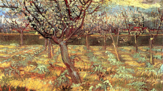 Autumn leaves cityscape bridge tree - a sky in the background free wallpaper