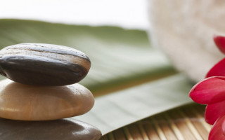 Rock flower leaf stone sculpture - cao buxing free wallpaper for desktop