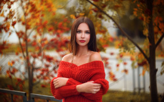 Woman red sweater tree autumn - a red sweater free wallpaper