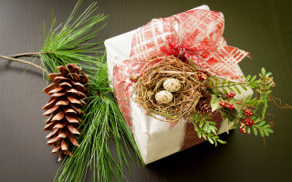 Wrapped present bird nest pine - a pine cone free wallpaper
