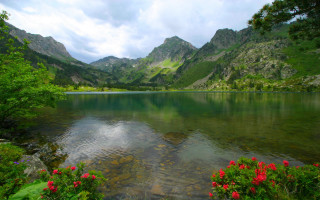 Lake mountains flowers cloudy sky - alen divi free wallpaper