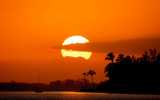 Sunset palm trees boat orange - the water in front free wallpaper