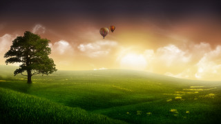 Tree hot air balloons grassy - hot air balloon free wallpaper