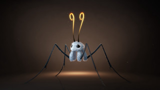 Spider yellow eyes black legs - a spider free wallpaper