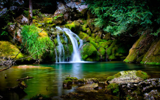 Waterfall forest mossy rocks stream 4 - mossy rock and trees free wallpaper