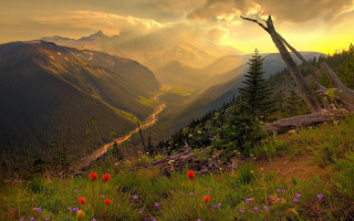 Valley mountains flowers sunset landscape - arthur quartley free wallpaper
