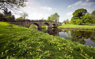 Bridge river greenfield hill landscape - free landscape wallpaper