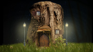 Tree stump house night lights - a tree stump free wallpaper
