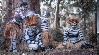 Three people striped costumes woods - three person free wallpaper