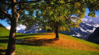 Grassy hill mountain snow trail - a grassy hill free wallpaper