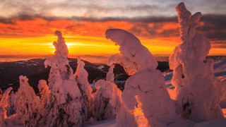 Sunset snowy mountain trees clouds 6 - eric deschamps free wallpaper