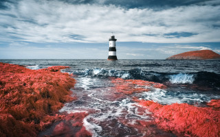Lighthouse rocky shore red seaweed - photography free wallpaper