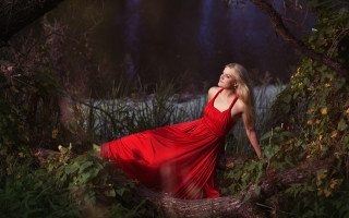 Woman red dress forest flowers - a tree branch free wallpaper for desktop