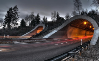 Long exposure tunnel night forest - concrete art free wallpaper