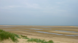 Sandy beach green plants water - a sandy beach free wallpaper