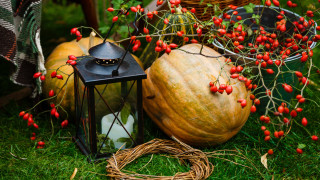 Lantern pumpkin grass berries basket - fall vibrancy free wallpaper