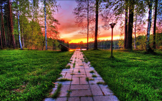 Sunset path grassy trees fence - a sunset in the background and trees free wallpaper