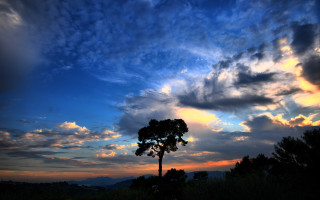 Silhouetted tree cloudy sunset mountains 3 - colorful cloud free wallpaper