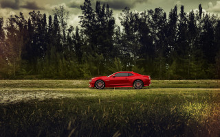 Red sports car field forest 2 - a field next free wallpaper