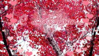 Tree love hearts autumn leaves - fedot sychkov free wallpaper