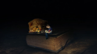 Cat book toy figure mouse - a toy figure free wallpaper