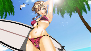 Woman surfboard palm beach bird - a woman in a bikini holding free wallpaper