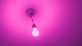 Pink lightbulb darkroom synchromism purple - a light bulb free wallpaper