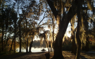 Park bench tree lake autumn - free sunset wallpaper