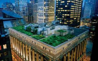 Green roof city night skyscrapers - a green roof free wallpaper