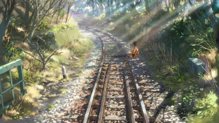 Person dog train track walking - a train track free wallpaper for desktop