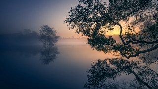 Foggy lake trees sunset mist 2 - mist free wallpaper for desktop