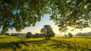 Sunset fence trees park bench - free spring wallpaper